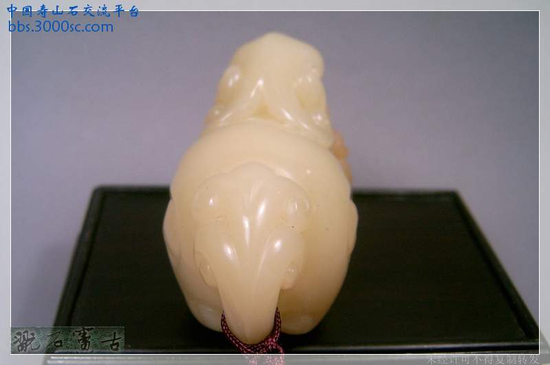 SUC39529.jpg