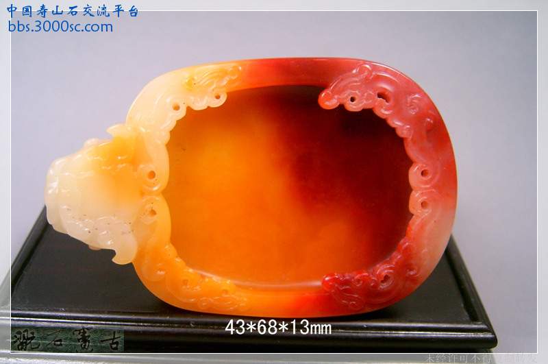 SUC39553.jpg