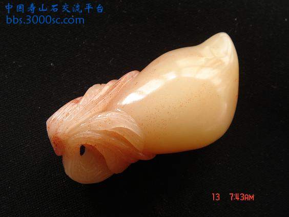 DSC04602.JPG