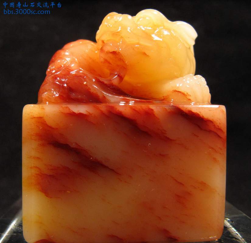 IMG_0354_缩小大小.JPG