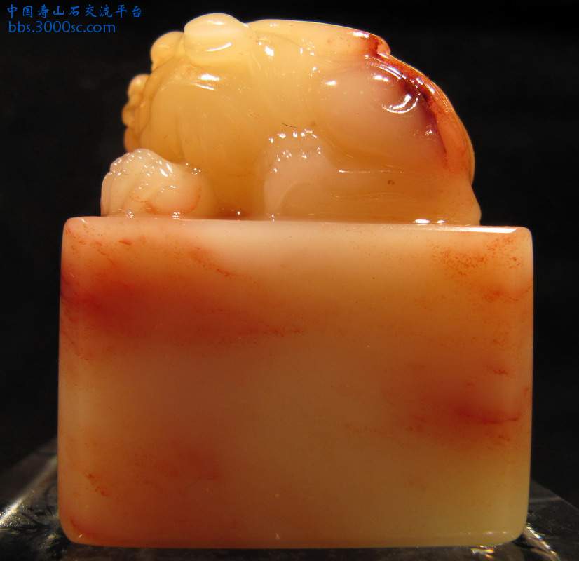 IMG_0355_缩小大小.JPG