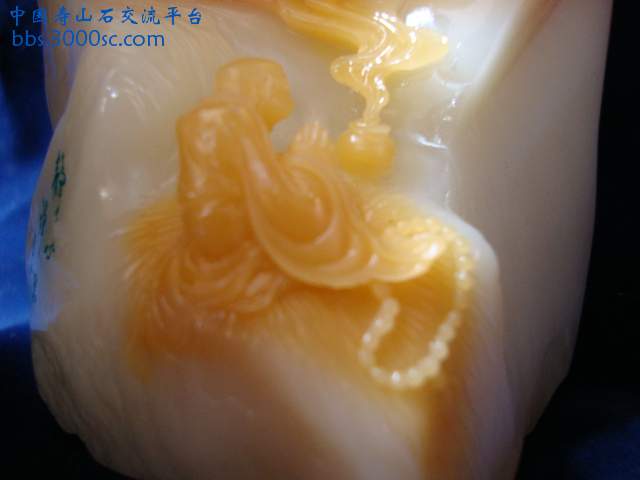 DSC02042.JPG