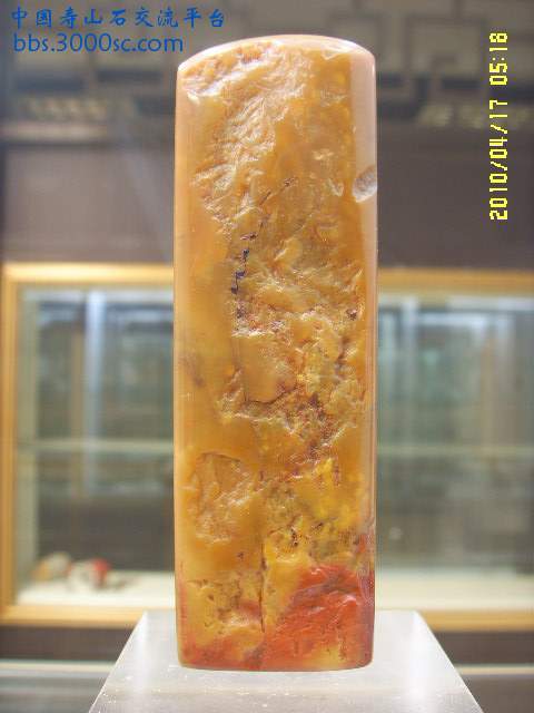 SSL14413.JPG