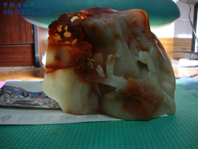 DSC02030.JPG