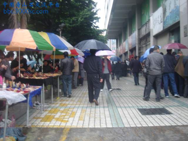 DSC04911.JPG
