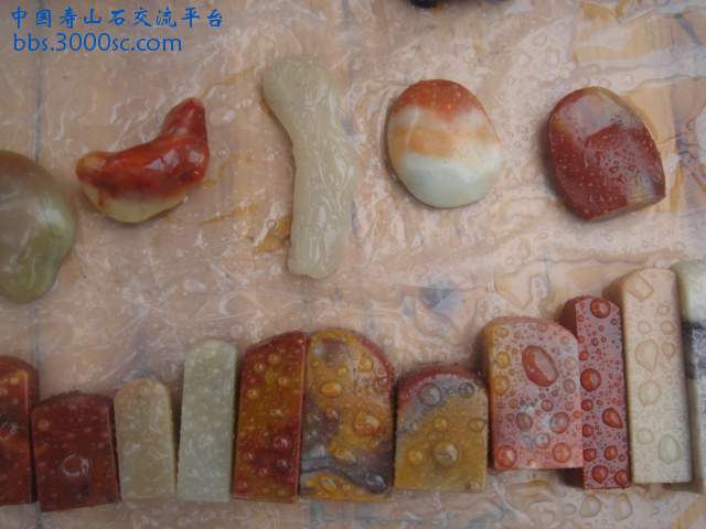 DSC04912.JPG