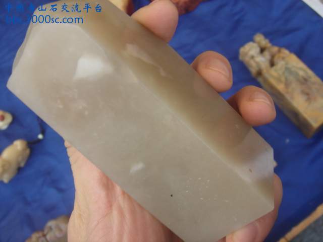 DSC04914.JPG