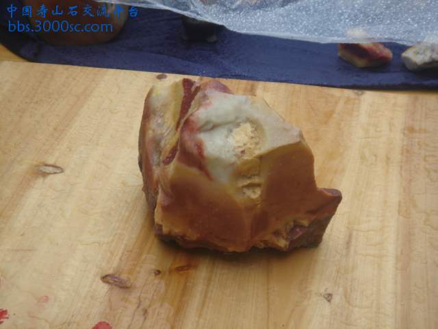 DSC04913.JPG