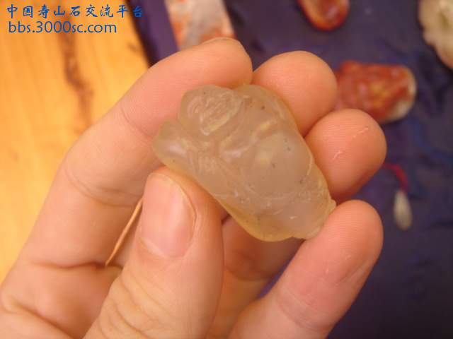 DSC04916.JPG