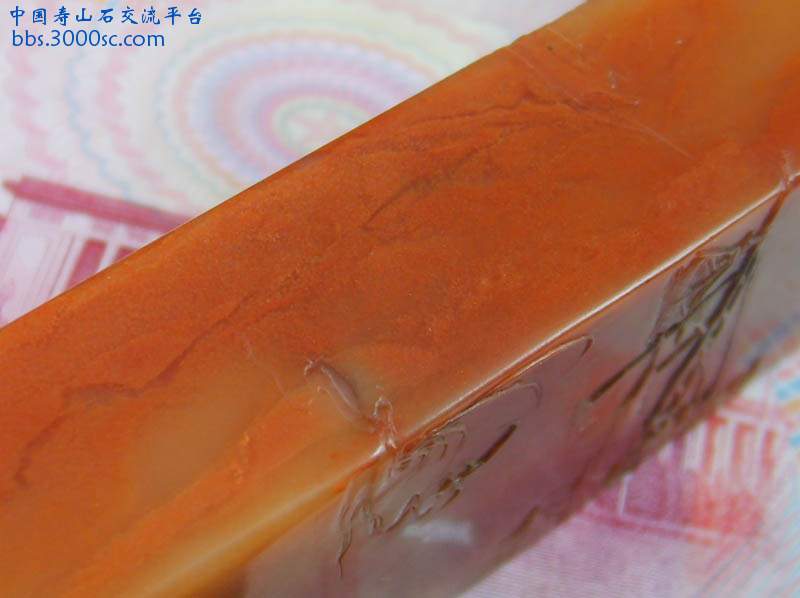复件 S6008455.JPG