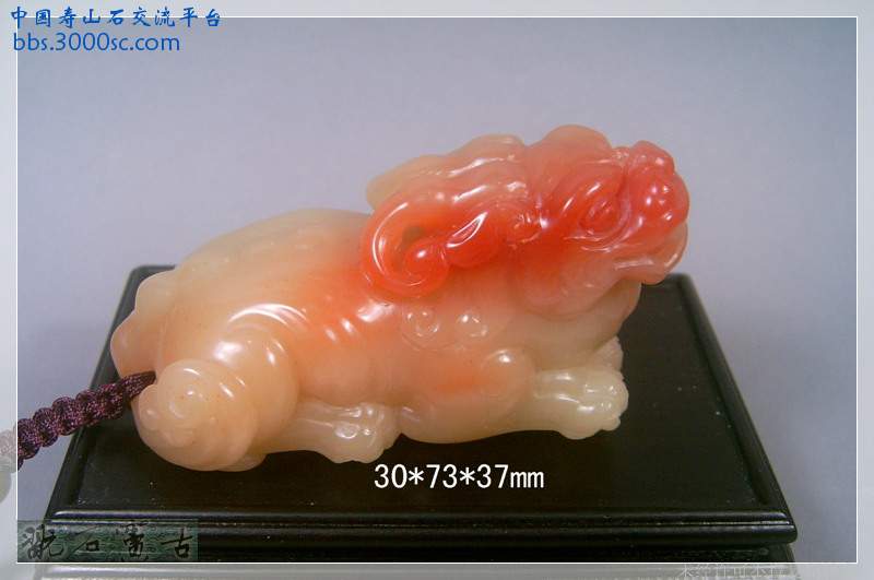 SUC39722.jpg
