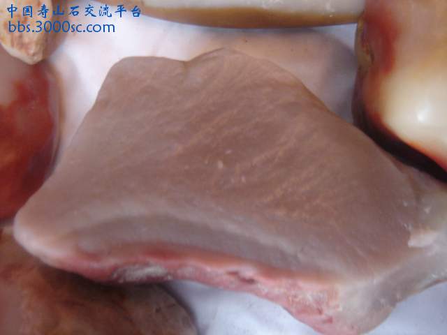 DSC04869.JPG