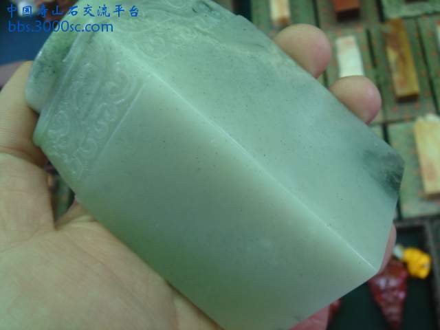 DSC04941.JPG