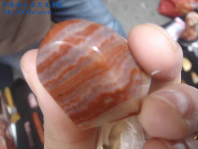 DSC04877.JPG