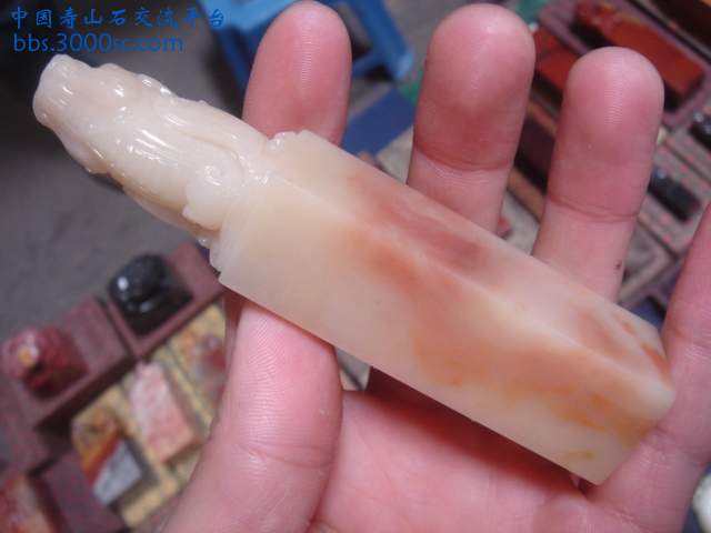 DSC04879.JPG