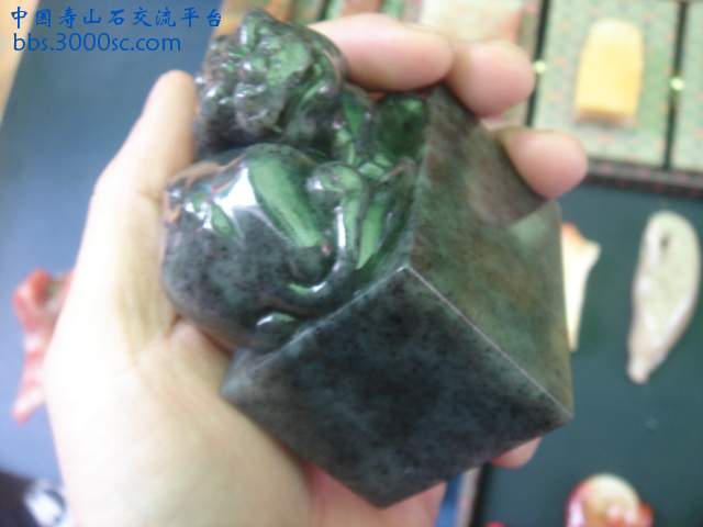 DSC04946.JPG