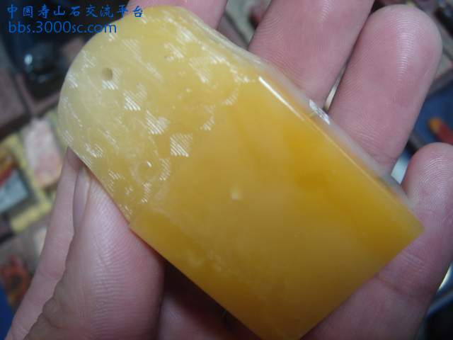 DSC04884.JPG