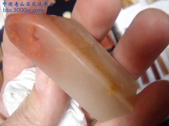 DSC04889.JPG
