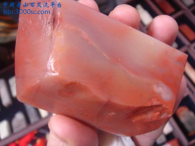 DSC04890.JPG