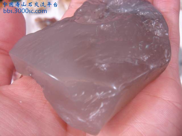 DSC04910.JPG