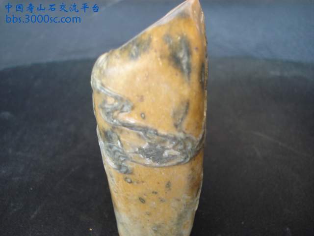 照片 005.jpg