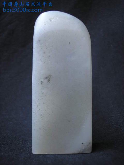 19157662.jpg