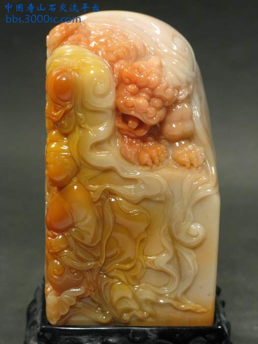 照片 823.jpg