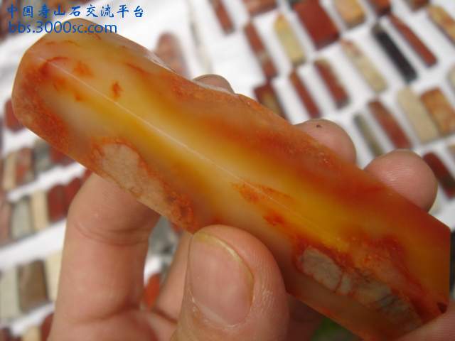 DSC04978.JPG