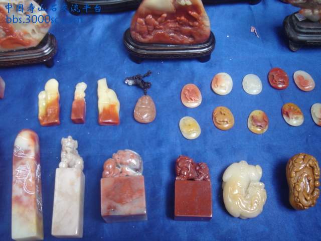DSC05061.JPG