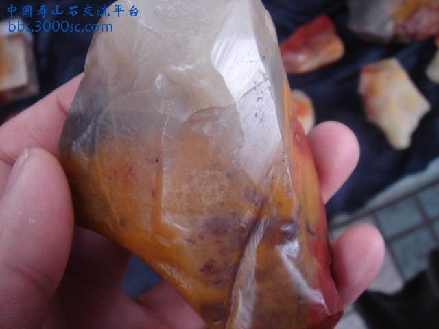 DSC05064.JPG