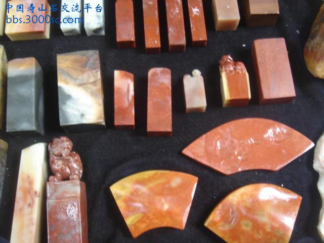 DSC05066.JPG