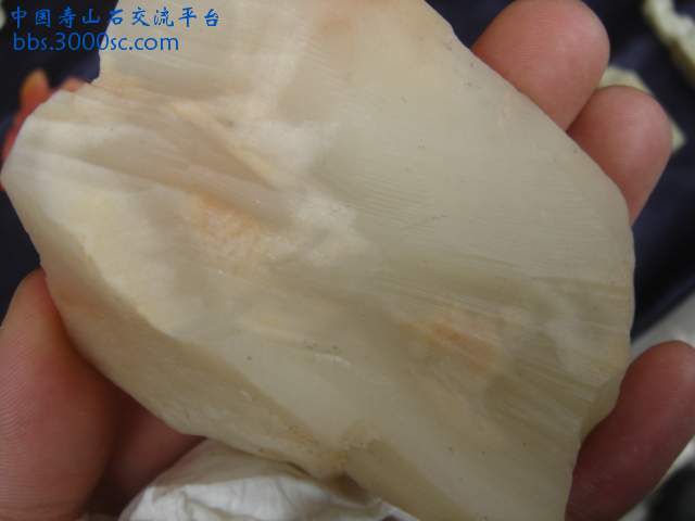 DSC05069.JPG
