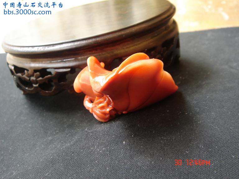 DSC04793.JPG