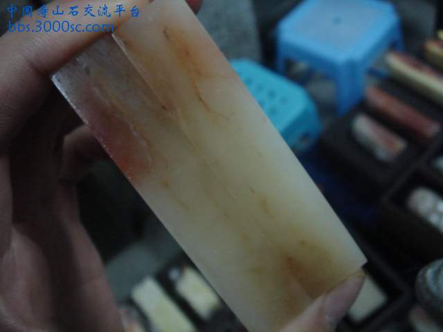 DSC05016.JPG