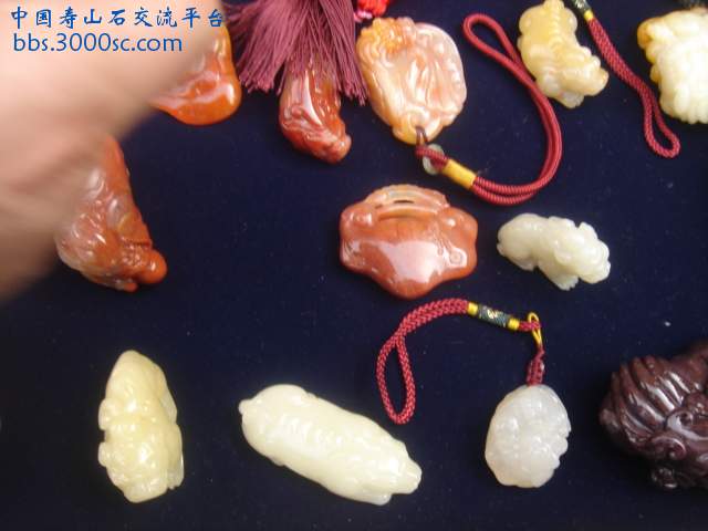 DSC05170.JPG