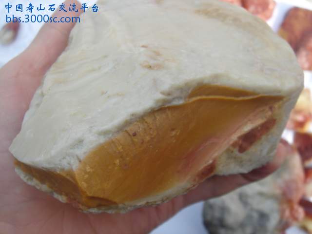 DSC05171.JPG