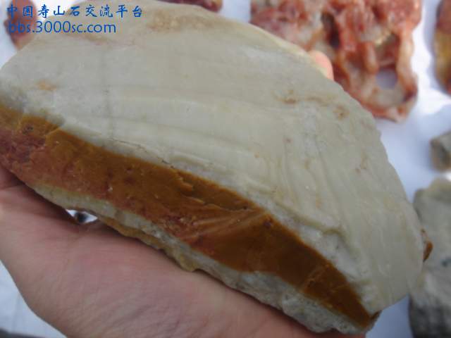 DSC05172.JPG