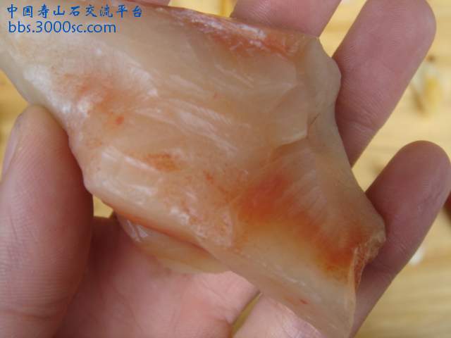 DSC05176.JPG