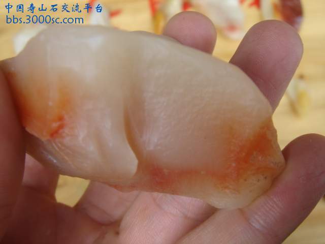 DSC05177.JPG