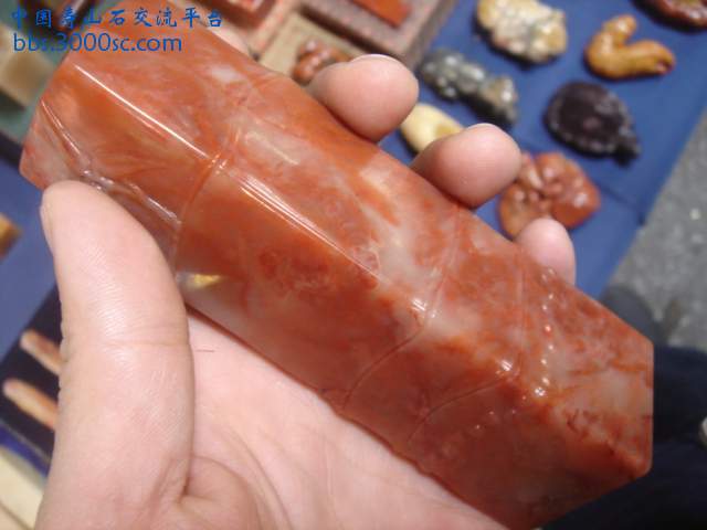 DSC05112.JPG