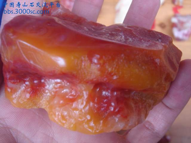 DSC05181.JPG
