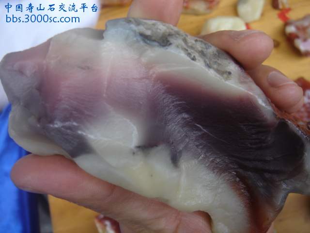 DSC05183.JPG