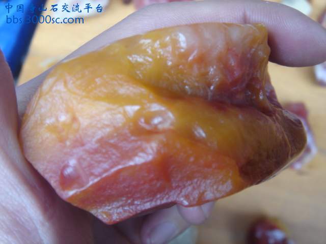 DSC05182.JPG