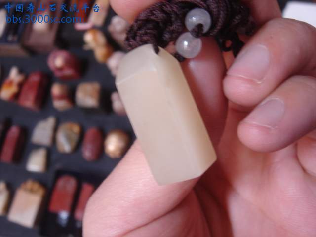 DSC05116.JPG
