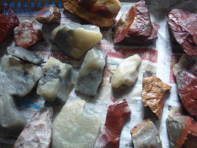 DSC05185.JPG