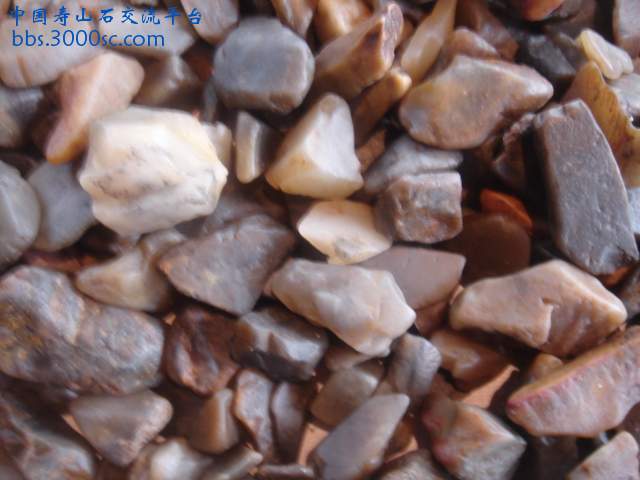 DSC05186.JPG