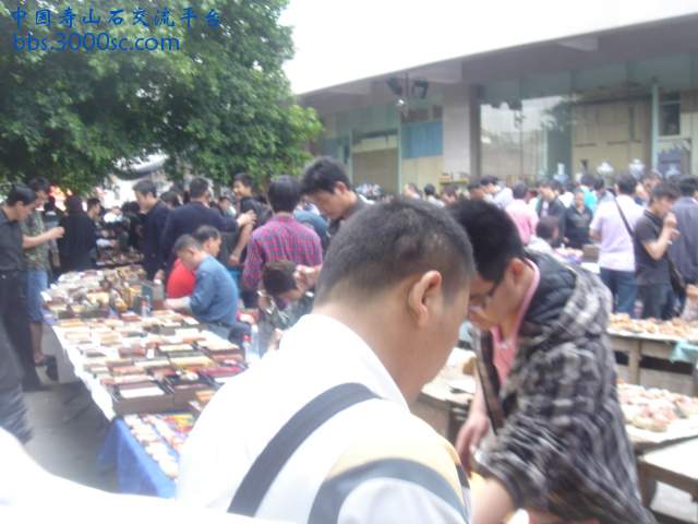 DSC05187.JPG