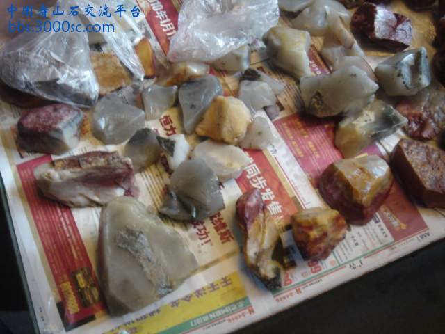 DSC05126.JPG