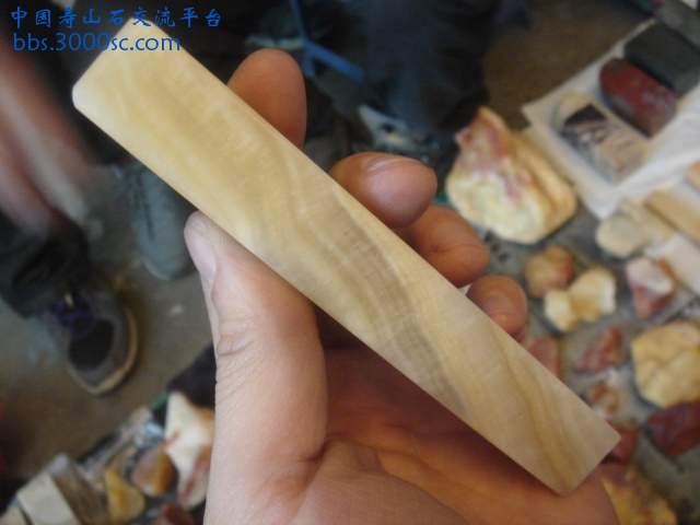 DSC05132.JPG