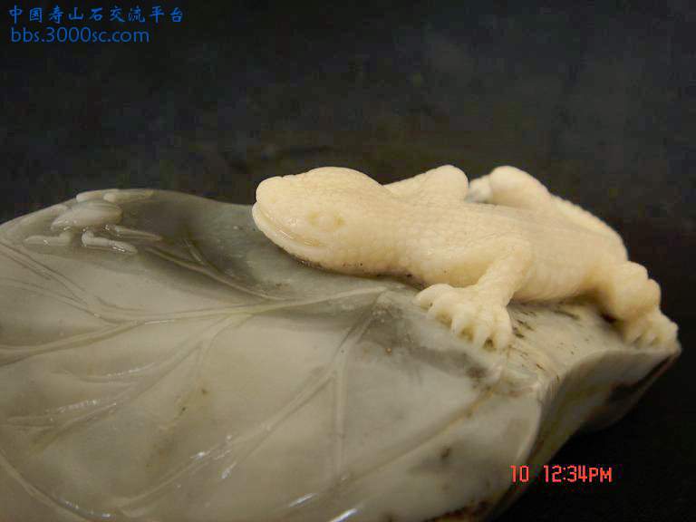 5.JPG